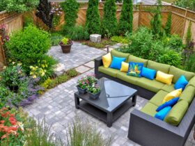 Transform Your Backyard