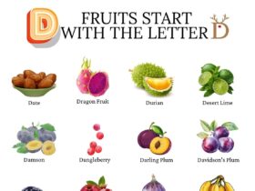 Fruits begin with d