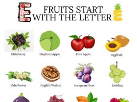 Fruits That Begin With E