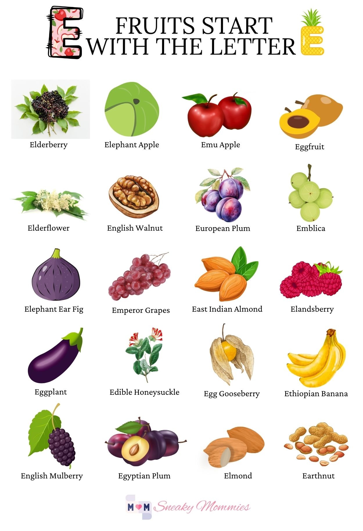 Fruits That Begin With E