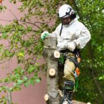 Emergency Tree Services