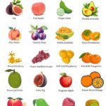 FRUITS THAT START WITH F