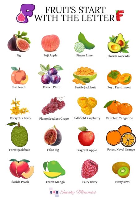 FRUITS THAT START WITH F