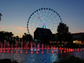 Ferris wheel and water fountain with colored lights at dusk