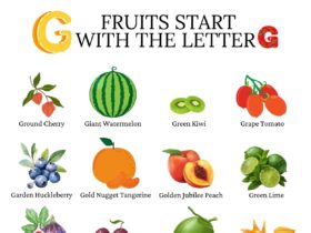 Fruits that begin with G