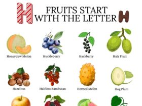 Fruits beginning with H