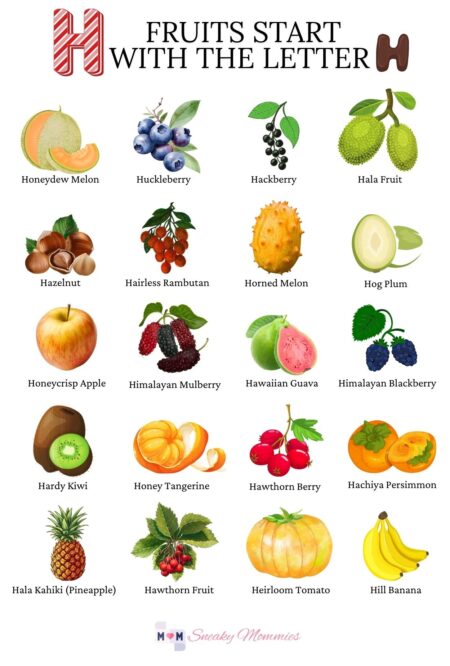 Fruits beginning with H