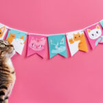 Cat bunting