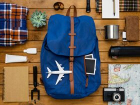 Travel Backpack