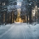 Winter Travel Guide