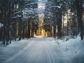 Winter Travel Guide