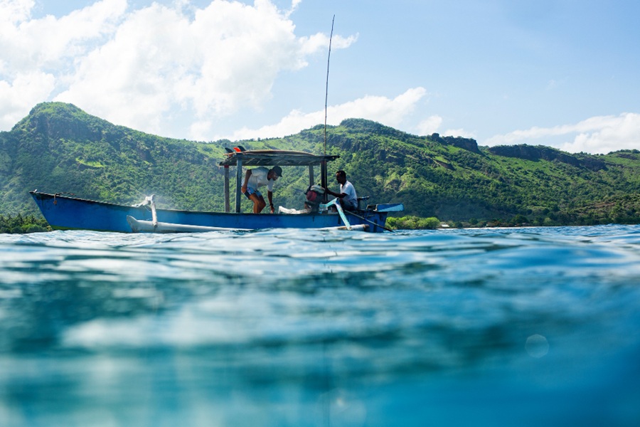 Boat Tour